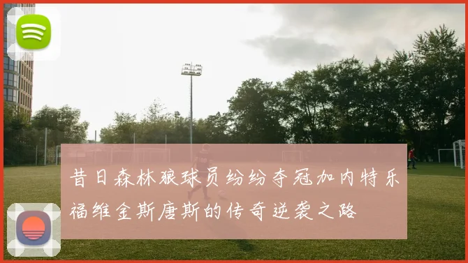 昔日森林狼球员纷纷夺冠加内特乐福维金斯唐斯的传奇逆袭之路