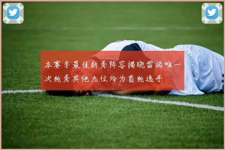 本赛季最佳新秀阵容揭晓雷诺唯一次轮秀其他九位均为首轮选手